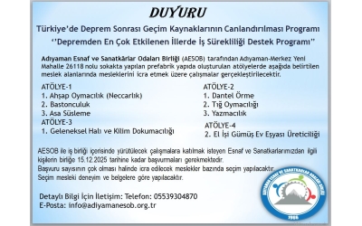 Türkiye'de Deprem Sonrası Geçim Kaynaklarının Canlandırılması Programı