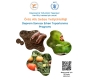 Uluslararası Göç ve Dayanışma Derneği, Birleşmiş Milletler Dünya Gıda Programı (WFP) ile birlikte Deprem Sonrası Erken Toparlanma Programı